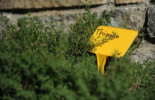 Ferienwohnungen Ortlerblick - Foto 57