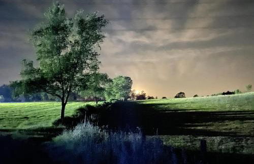 Ferienwohnung Annika - Foto 35