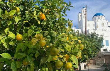 Geronti Moscha Apartment - Foto 41