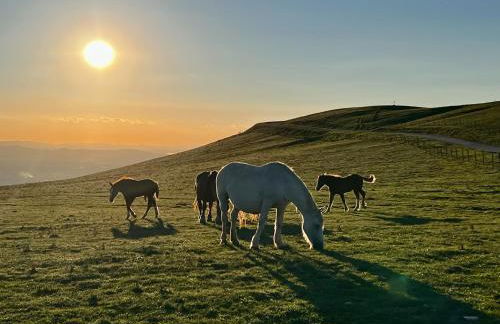 La Casa dell'Abate di Collepino - Spello - Foto 39