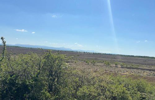 The Cosy Hedgerow - Foto 13