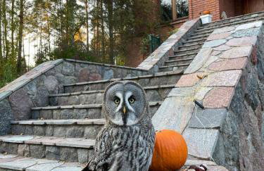 Leśna Baszta - Foto 16