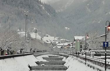 Appartamento Edelweiss - Foto 35