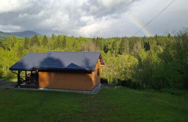 Mały Domek DOMARKA w BIESZCZADACH - Foto 9