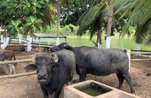 Casa Porto Fiore - Foto 14