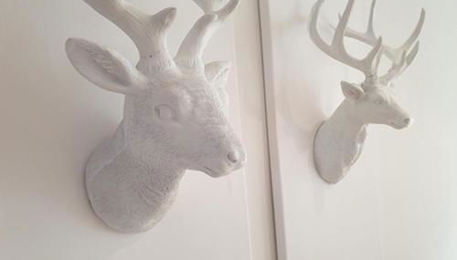 Haus Sonnenschein - Foto 5