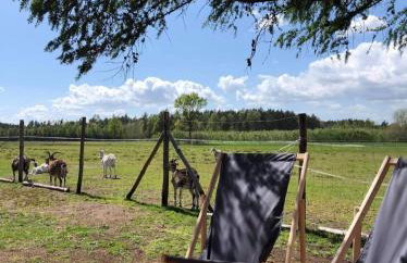 Zamieszkaj na wsi blisko Warszawy - Foto 9