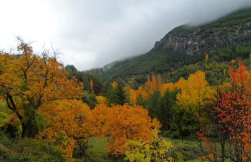 Refugio del Segura - Foto 38