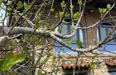 Villa Biancospino - luxury and private villa in Langhe - Foto 43