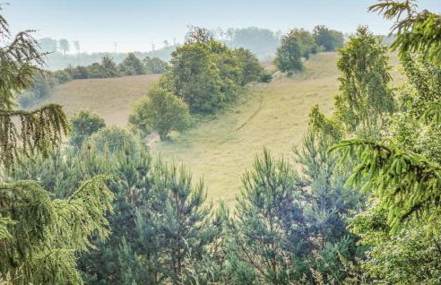 Three-Bedroom Holiday Home In Milakowo - Foto 18