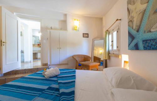 Pajara Rugiada - Foto 23