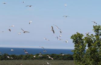 Apartment Fiorella - Foto 26