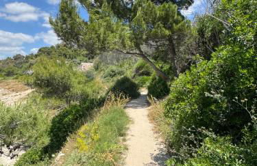 Villa Lucia appartamento Capri - Foto 31