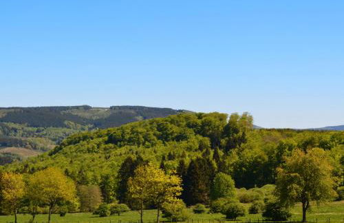 Ferienwohnungen Ambiente-Schmidt - Foto 12