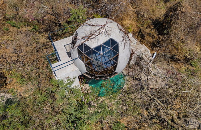 Bosque Geométrico - Foto 14