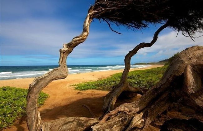 Hale Tiare 2 Bedroom Condo by RedAwning - Foto 37