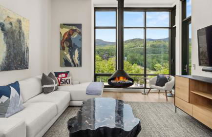 409 - 3 bed - Treehouse unit - Spruce Peak at the Base of Stowe Mt Resort - Sleeps 9 - Foto 1