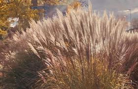 Sea Apartment on Constance Lake - Foto 11