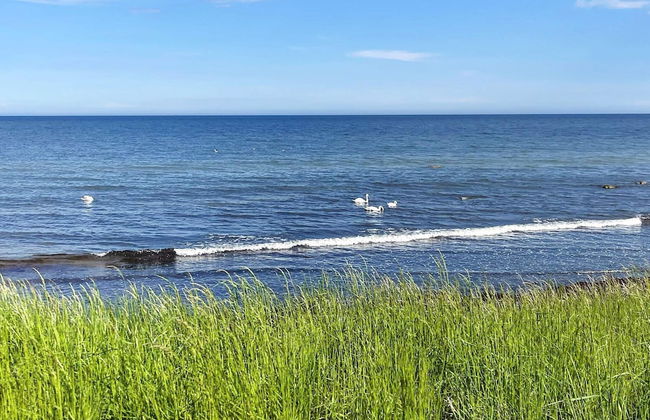 8 Person Holiday Home in Beddingestrand-by Traum - Foto 21