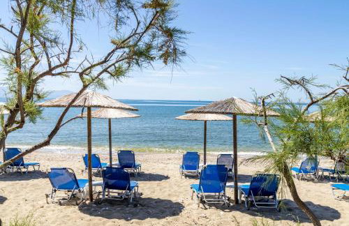Dimitra Beach Apartments - Nea Karvali Kavala - Photo 5