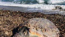 Apartamento encantador - Foto 2