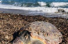 Apartamento encantador - Foto 2