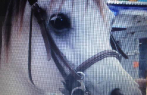 Mas Le Nathakassou - Foto 47