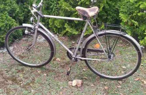 Free Bikes, WiFi, AC, Garden, 2 Beds - Foto 16