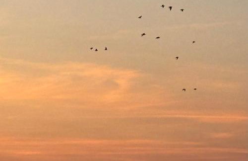 Apartamenty nad morzem Przy Klifie 2 Dębina - Foto 53