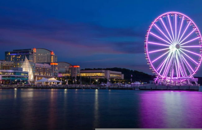 Luxury Penthouse of Lorton VA - Foto 38