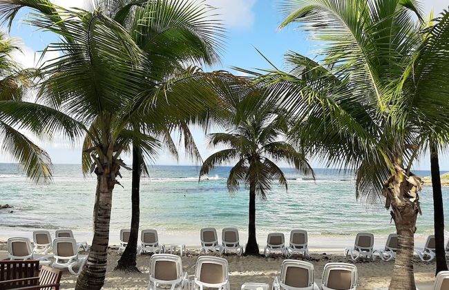 Kaz ananas passion - Photo 35