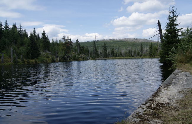 Schone Wohnung im Bayerischen Wald - Photo 75