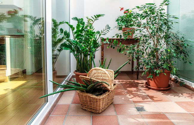 Castello di Brusata Apartment - Photo 38