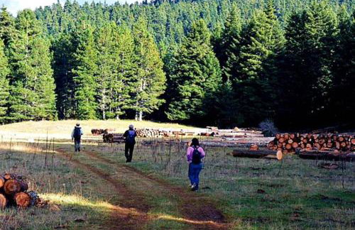 Elati Hills - Photo 65