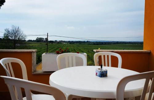 Roxy Bellavista - Foto 19