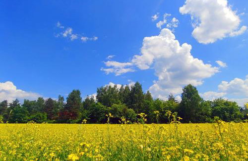 Masuria Warsaw Family - dom na wyłączność - w lesie i przy rzece - 15 min od Warszawy - idealny dla rodzin z dziećmi - Foto 43