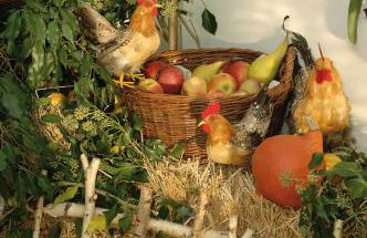 Baumanns Ferienhof Am See - Foto 25