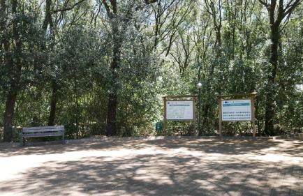 Casa Carolina - Foto 19