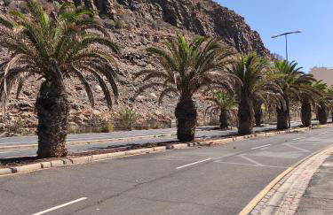 Margherita House Tenerife, Wonderful Ocean View - Foto 57