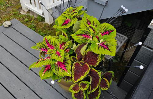 Atlantic City Bungalow Retreat - Foto 34