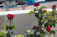 Rosalia Studio Megalochori - Foto 41