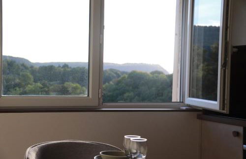 Appartement Le nid sur l'Ain - Foto 14