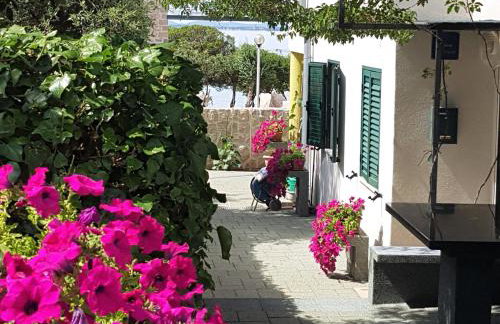 Apartments Anita - Punta Skala - Foto 19
