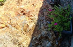 Linda Casa Com Vista Para a Praia! - Photo 37