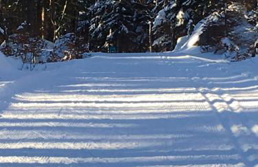 Ferienhaus zur Thusstrasse - Foto 16