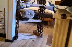 Boutique Apartment Benz 1 - Foto 11