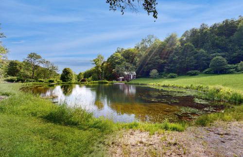 Wild Blue Yonder - Foto 19