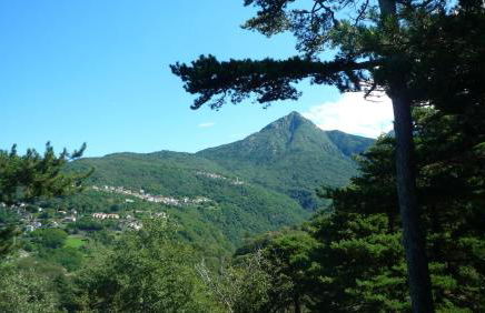 Il girasole - Foto 33