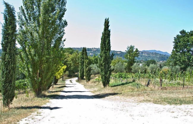 Agriturismo Terrasabina - Foto 47