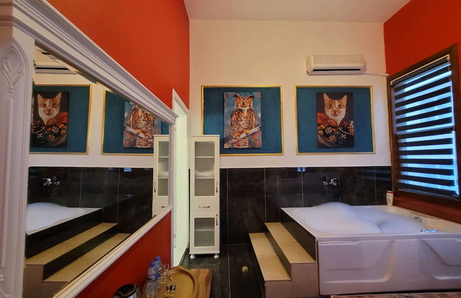 Sari Kosk Butik Otel - Foto 23